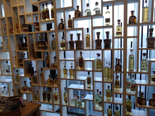 2024-11-14 tequila muuseum