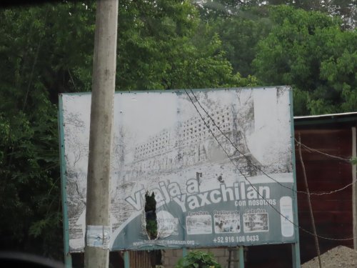 2024-11-26 Yaxchilan